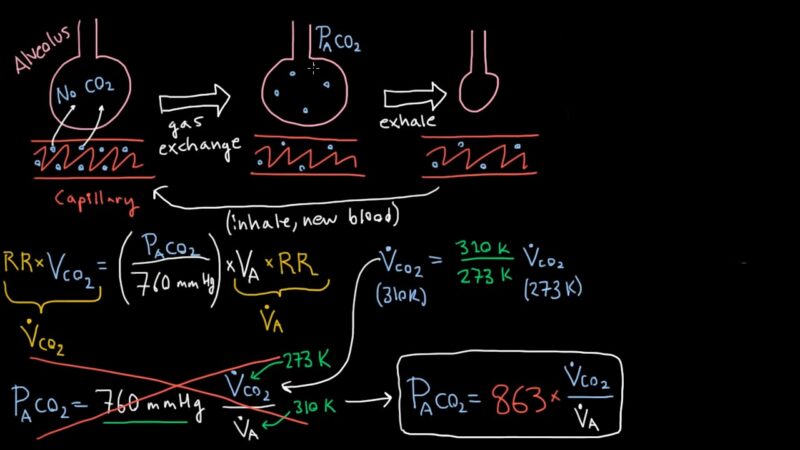 Alveolar Ventilation Equation