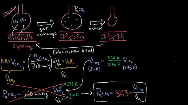 Alveolar Ventilation Equation