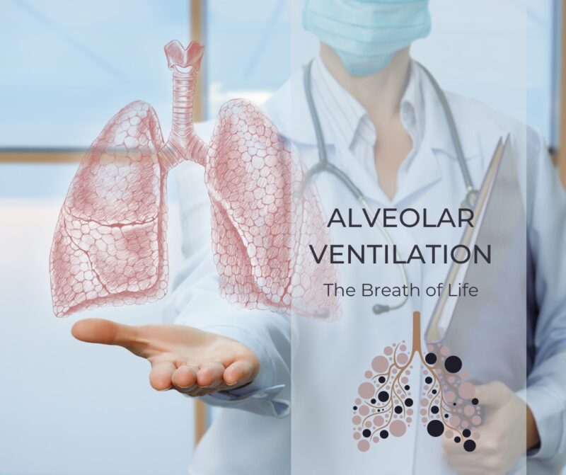 Alveolar Ventilation