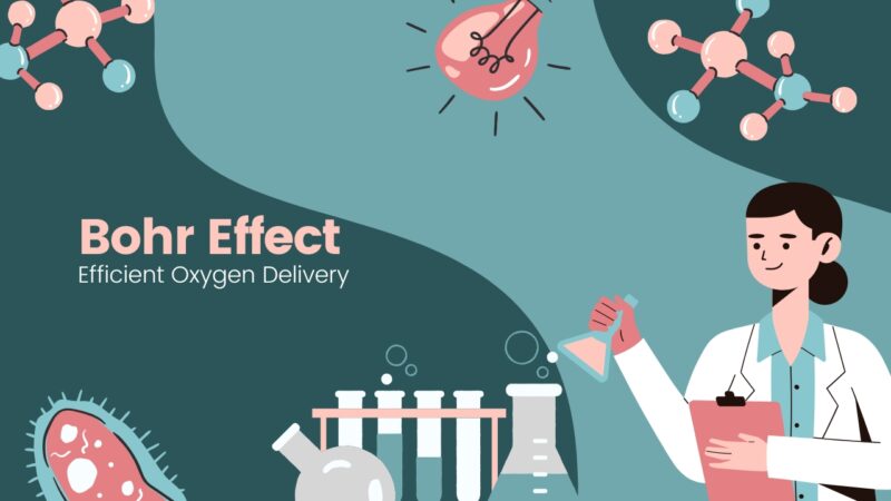 Bohr Effects