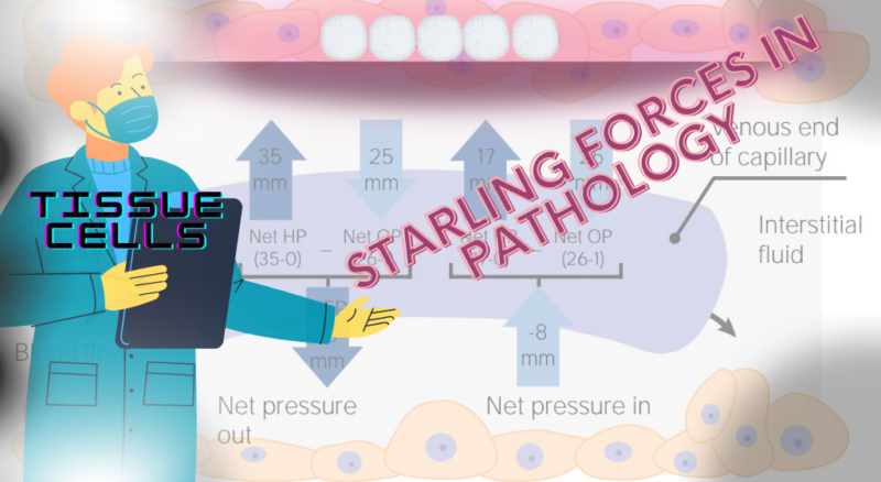 Starling Forces in Pathology