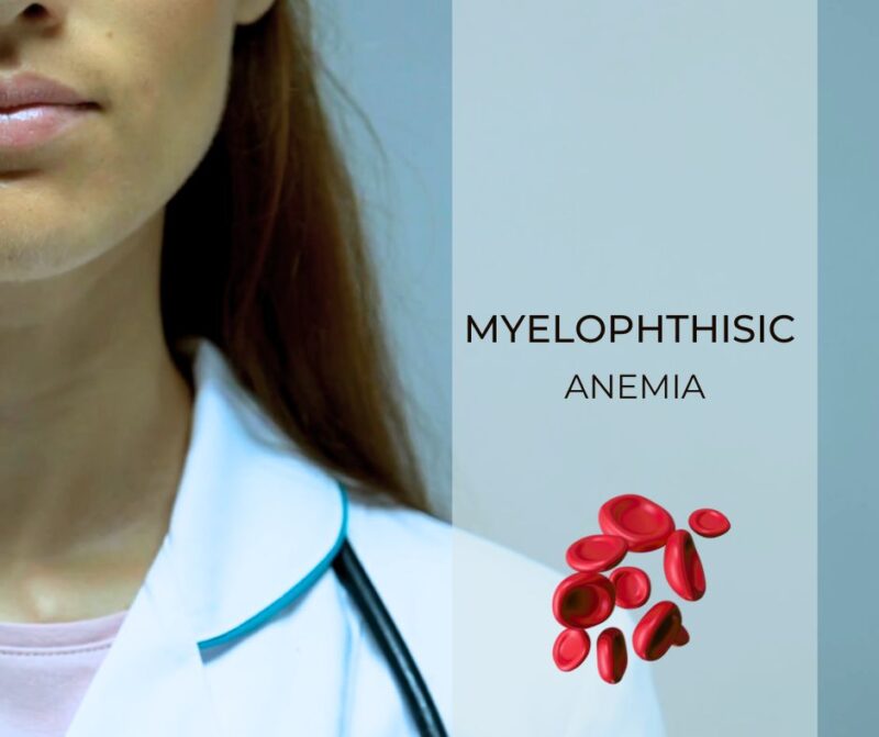 What is Myelophthisic Anemia and how to cure it