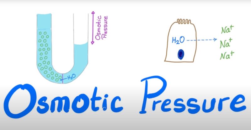 osmotic pressure