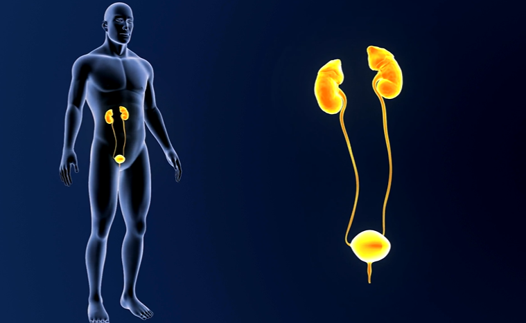 urine loss