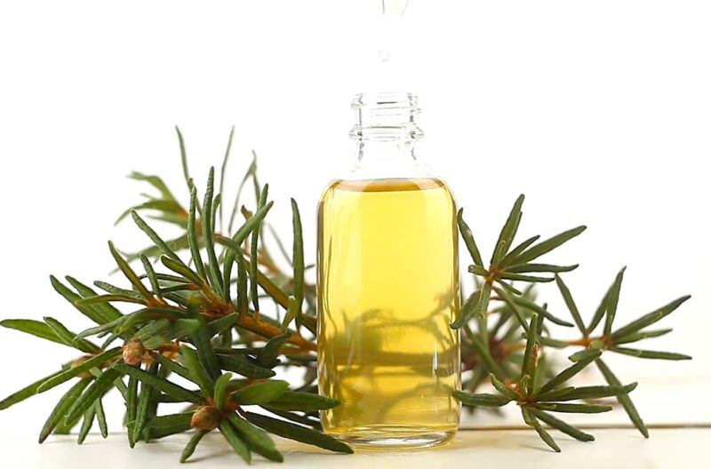 Tea Tree Oil Herbal Remedies for Boils