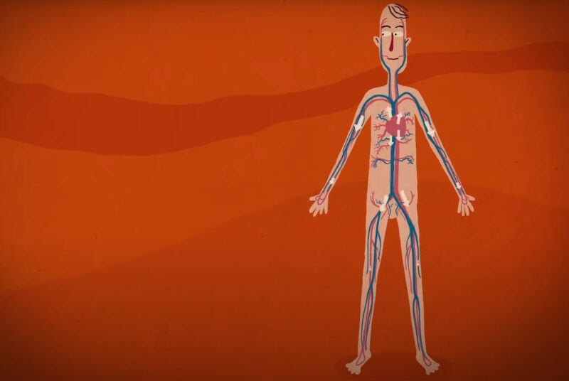 arterial oxygen levels